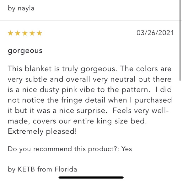 NWT Anthropologie Joslyn woven damask queen blanket - Picture 9 of 10